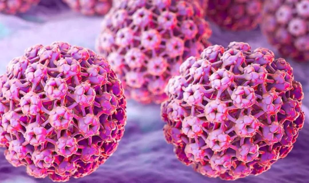 ВПЧ – это группа очень распространённых вирусов