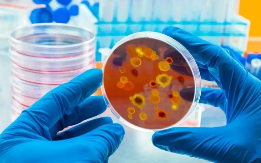 Жыныстық жолмен жұғатын инфекциялар (ЖЖБИ)