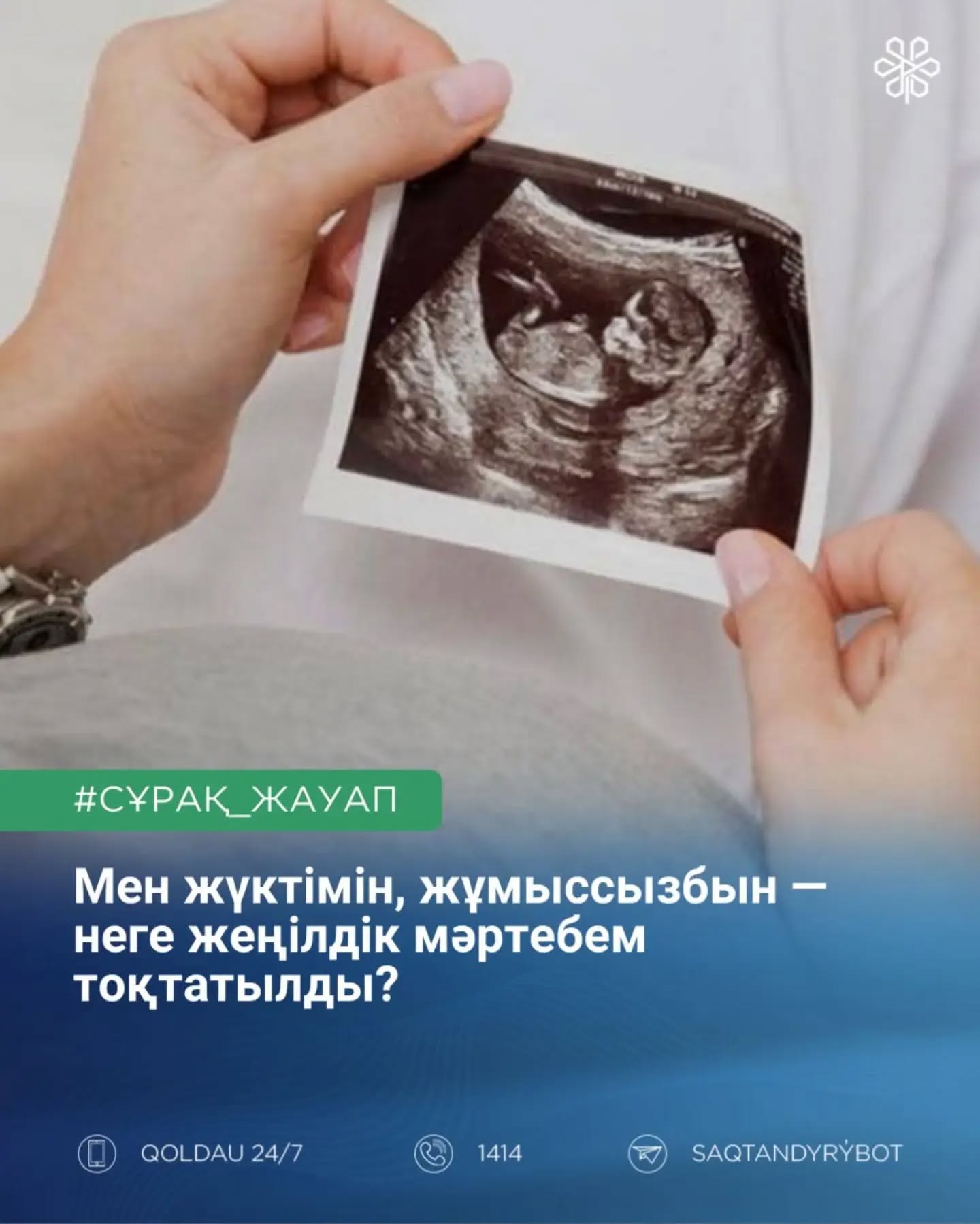 Мен жүктімін, жұмыссызбын – неге жеңілдік мәртебем тоқтатылды?