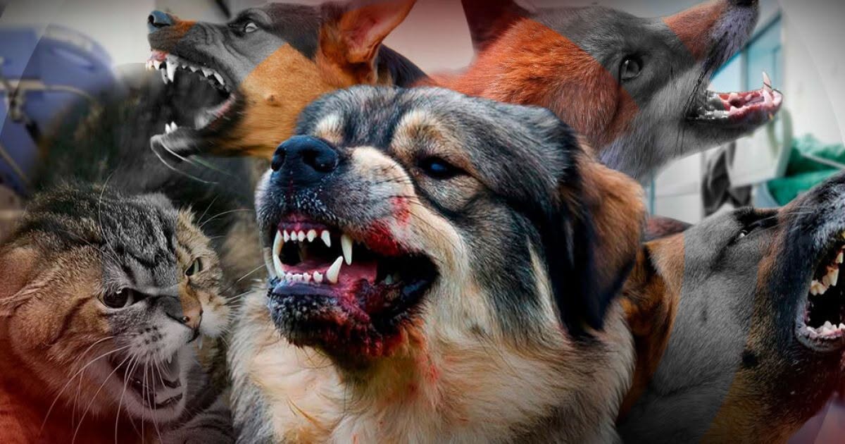 ҚҰТЫРУДАН САҚТАНАЙЫҚ!